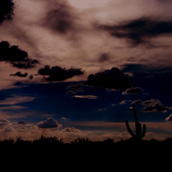 Lovely Star Photography Art Print - Picture 1 of 5